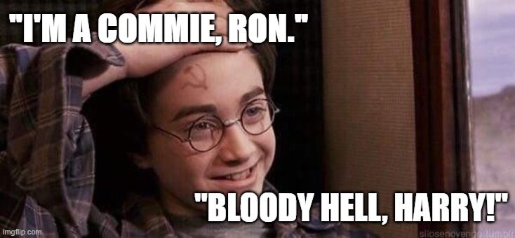 political-humour-harry-potter-i-m-a-commie-ron-ron-bloody-hell