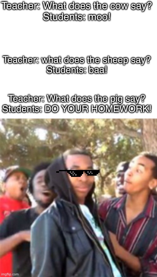 Hehe | Teacher: What does the cow say?
Students: moo! Teacher: what does the sheep say?
Students: baa! Teacher: What does the pig say?
Students: DO YOUR HOMEWORK! | image tagged in lol | made w/ Imgflip meme maker