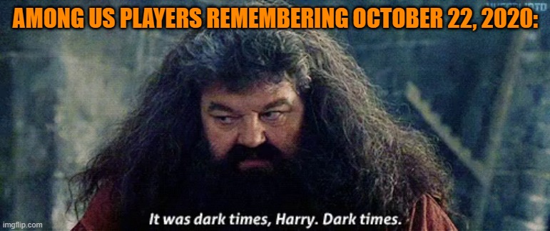 Only among us players who were around by that time will get this. | AMONG US PLAYERS REMEMBERING OCTOBER 22, 2020: | image tagged in among us hacker,hint,it's eris loris | made w/ Imgflip meme maker