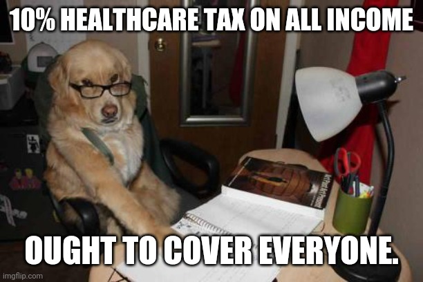 Accountant Dog | 10% HEALTHCARE TAX ON ALL INCOME OUGHT TO COVER EVERYONE. | image tagged in accountant dog | made w/ Imgflip meme maker