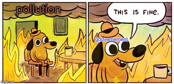 This Is Fine Meme | pollution; gouvernement | image tagged in memes,this is fine | made w/ Imgflip meme maker