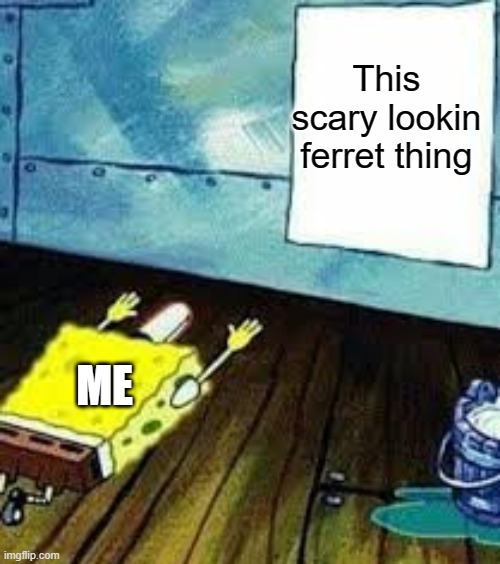 spongebob worship | This scary lookin ferret thing ME | image tagged in spongebob worship | made w/ Imgflip meme maker