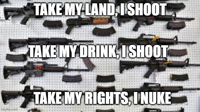 Guns | TAKE MY LAND, I SHOOT; TAKE MY DRINK, I SHOOT; TAKE MY RIGHTS, I NUKE | image tagged in guns | made w/ Imgflip meme maker