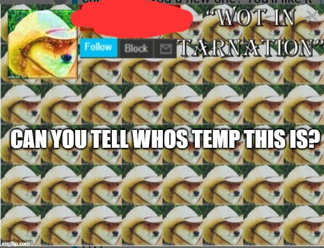 lol | CAN YOU TELL WHOS TEMP THIS IS? | image tagged in lol,lololol,lololololol | made w/ Imgflip meme maker