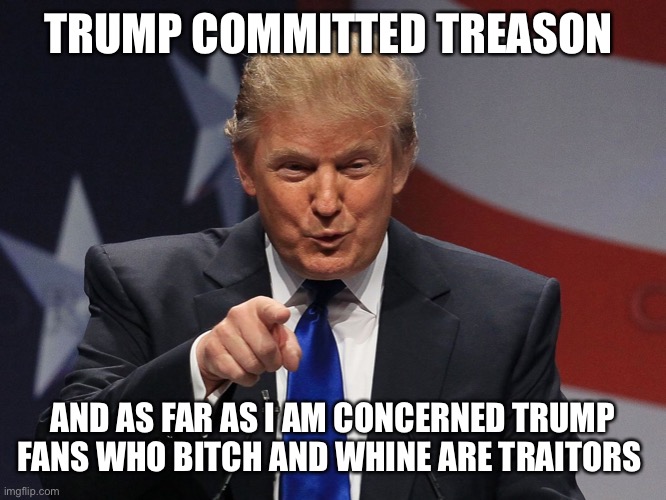 Donald trump | TRUMP COMMITTED TREASON; AND AS FAR AS I AM CONCERNED TRUMP FANS WHO BITCH AND WHINE ARE TRAITORS | image tagged in donald trump | made w/ Imgflip meme maker