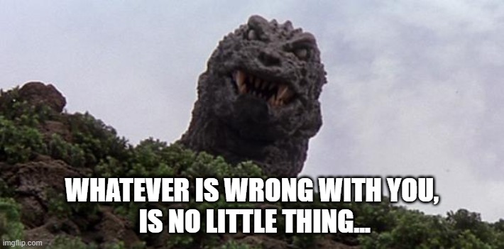 no little thing | WHATEVER IS WRONG WITH YOU,
 IS NO LITTLE THING... | image tagged in gmkgodzilla | made w/ Imgflip meme maker