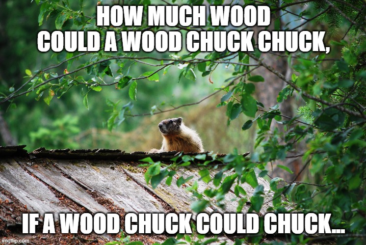 How Much Wood? | HOW MUCH WOOD COULD A WOOD CHUCK CHUCK, IF A WOOD CHUCK COULD CHUCK... | image tagged in funny memes | made w/ Imgflip meme maker