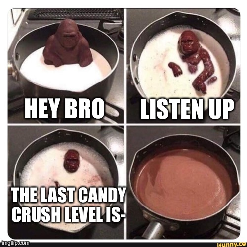 THERE IS NO END | LISTEN UP; HEY BRO; THE LAST CANDY CRUSH LEVEL IS- | image tagged in melting gorilla,candy crush,memes | made w/ Imgflip meme maker