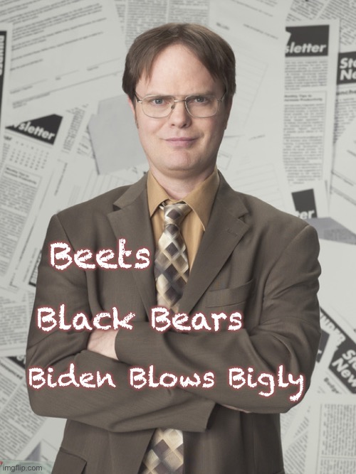 Dwight Schrute 2 Meme | Beets; Black Bears; Biden Blows Bigly | image tagged in memes,dwight schrute 2 | made w/ Imgflip meme maker