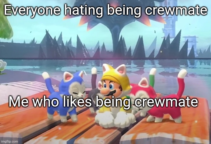 Among us is on switch don't unfeature this | Everyone hating being crewmate; Me who likes being crewmate | image tagged in mario and cats,among us,bowser's fury | made w/ Imgflip meme maker