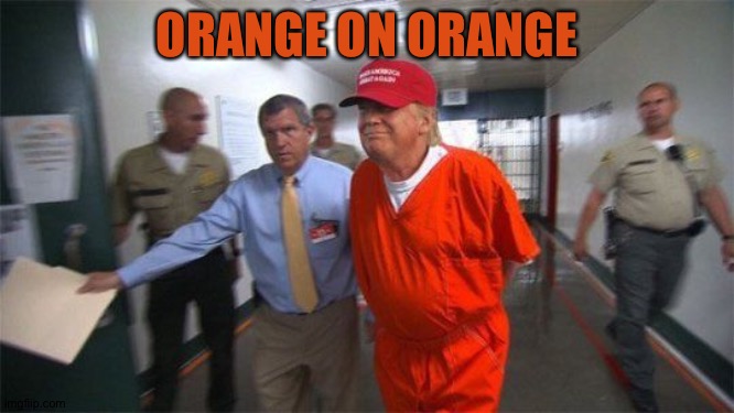 trump prison | ORANGE ON ORANGE | image tagged in trump prison | made w/ Imgflip meme maker
