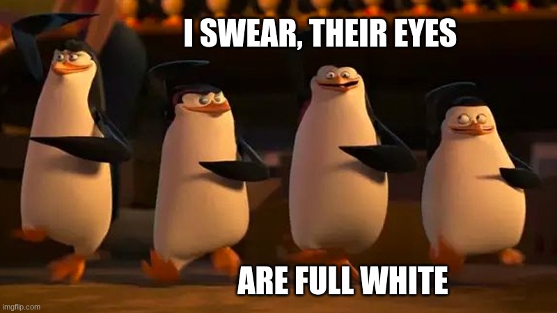 their are eyes are white | I SWEAR, THEIR EYES; ARE FULL WHITE | image tagged in we did it boys | made w/ Imgflip meme maker