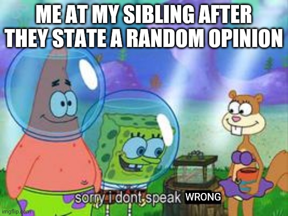 This we can all relate to | ME AT MY SIBLING AFTER THEY STATE A RANDOM OPINION; WRONG | image tagged in sorry i don't speak ____ | made w/ Imgflip meme maker