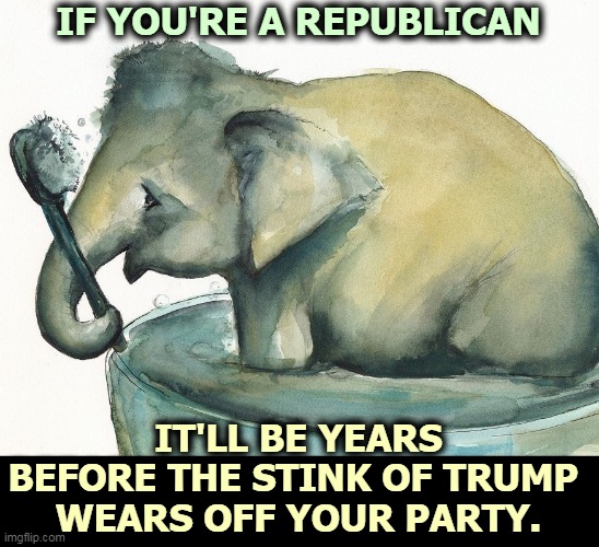 Don't kid yourself. America hates Trump. | IF YOU'RE A REPUBLICAN; IT'LL BE YEARS BEFORE THE STINK OF TRUMP 
WEARS OFF YOUR PARTY. | image tagged in gop,republican party,trump,stink,smell | made w/ Imgflip meme maker