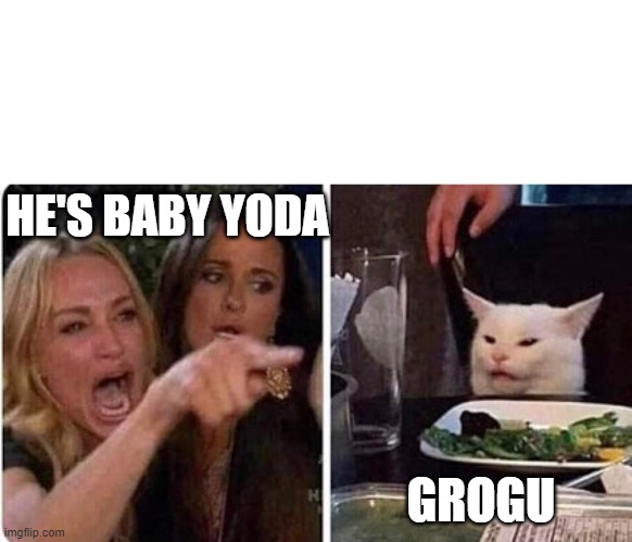 Lady screams at cat | HE'S BABY YODA; GROGU | image tagged in lady screams at cat | made w/ Imgflip meme maker