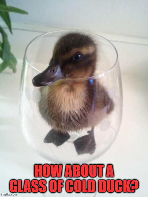 HOW ABOUT A GLASS OF COLD DUCK? | image tagged in duck | made w/ Imgflip meme maker