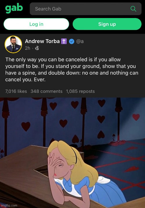 When things are going your way, double down. When things aren’t going your way, double down. | image tagged in gab cancelled,alice in wonderland face palm facepalm | made w/ Imgflip meme maker