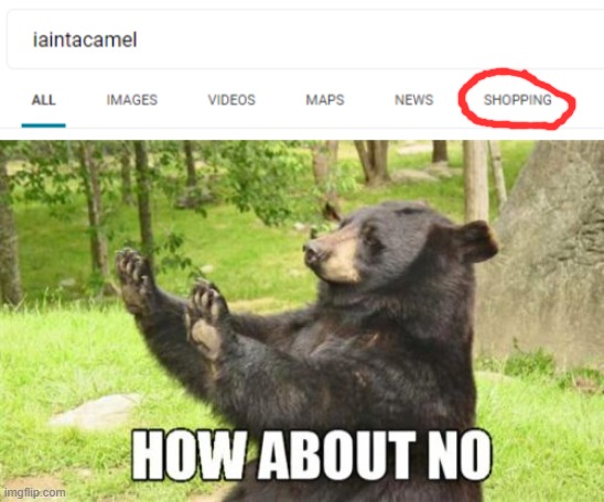 *cries in not a w---e and not for sale* | image tagged in memes,how about no bear | made w/ Imgflip meme maker