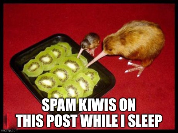 kiwicannibalism | SPAM KIWIS ON THIS POST WHILE I SLEEP | image tagged in kiwicannibalism | made w/ Imgflip meme maker