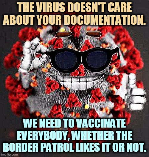 If you forgot what the word "contagious" means, look it up. | THE VIRUS DOESN'T CARE ABOUT YOUR DOCUMENTATION. WE NEED TO VACCINATE EVERYBODY, WHETHER THE BORDER PATROL LIKES IT OR NOT. | image tagged in covid virus smile,covid-19,coronavirus,legal,illegal | made w/ Imgflip meme maker