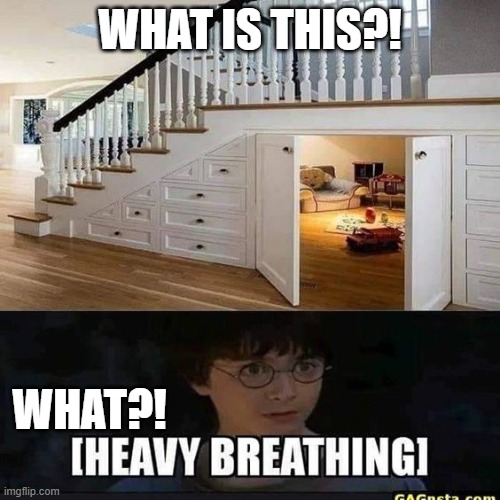 It's all he ever wanted (Original image here: https://www.pinterest.com/pin/693272936388409266/) | WHAT IS THIS?! WHAT?! | image tagged in harry potter | made w/ Imgflip meme maker