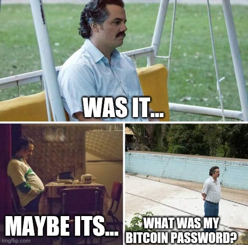 Sad Pablo Escobar Meme | WAS IT... MAYBE ITS... WHAT WAS MY BITCOIN PASSWORD? | image tagged in memes,sad pablo escobar | made w/ Imgflip meme maker