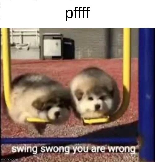 SWING SWONG YOU ARE WRONG | pffff | image tagged in swing swong you are wrong | made w/ Imgflip meme maker
