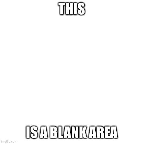 This is a blank space | THIS; IS A BLANK AREA | image tagged in memes,blank transparent square | made w/ Imgflip meme maker