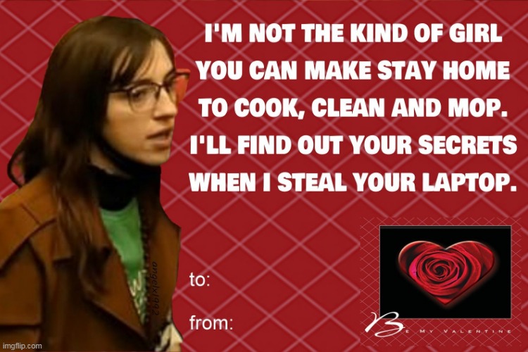 image tagged in valentine's day,valentines,cards,girlfriend,laptop,secrets | made w/ Imgflip meme maker