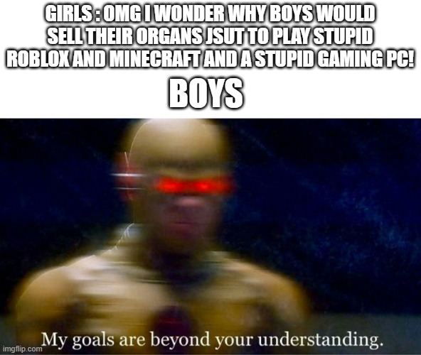 OMG | GIRLS : OMG I WONDER WHY BOYS WOULD SELL THEIR ORGANS JSUT TO PLAY STUPID ROBLOX AND MINECRAFT AND A STUPID GAMING PC! BOYS | image tagged in my goals are beyond your understanding | made w/ Imgflip meme maker