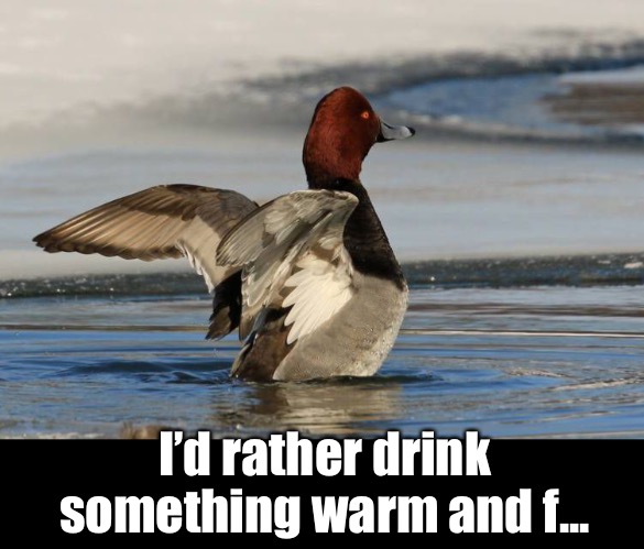 I’d rather drink something warm and f... | made w/ Imgflip meme maker