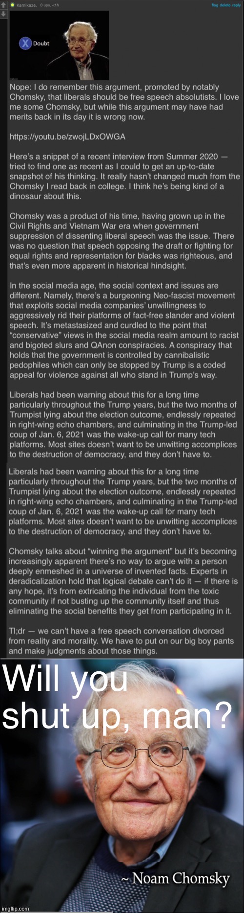 I roast the great Chomsky. Love ya, Noam. | image tagged in kamikaze roast chomsky,philosophy,free speech,first amendment,freedom of speech,freedom of the press | made w/ Imgflip meme maker