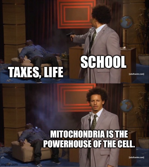 Cells, why? | SCHOOL; TAXES, LIFE; MITOCHONDRIA IS THE POWERHOUSE OF THE CELL. | image tagged in memes,who killed hannibal | made w/ Imgflip meme maker