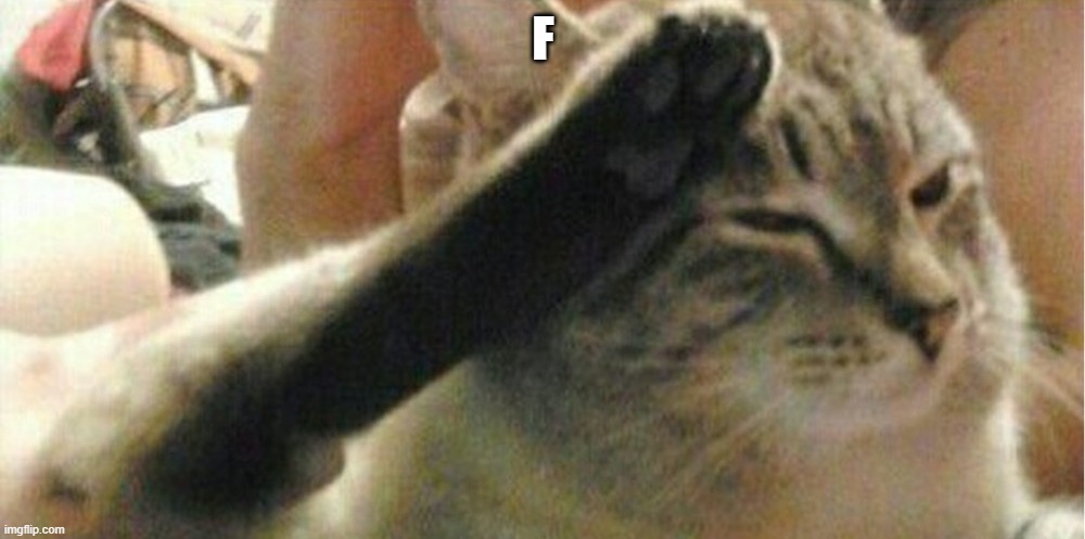 press f cat | F | image tagged in press f cat | made w/ Imgflip meme maker
