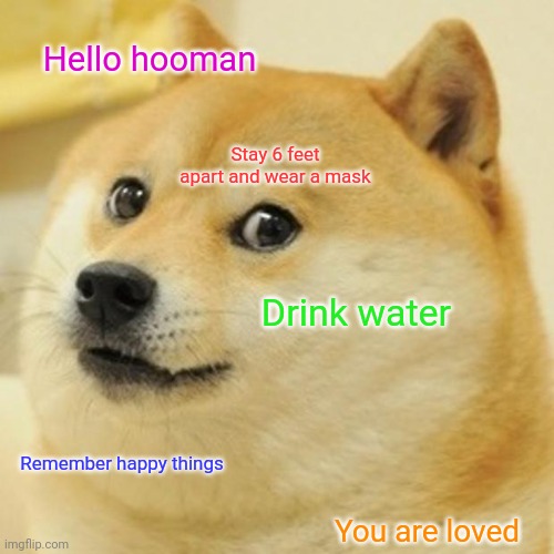 Please take care of yourself :) | Hello hooman; Stay 6 feet apart and wear a mask; Drink water; Remember happy things; You are loved | image tagged in memes,doge | made w/ Imgflip meme maker
