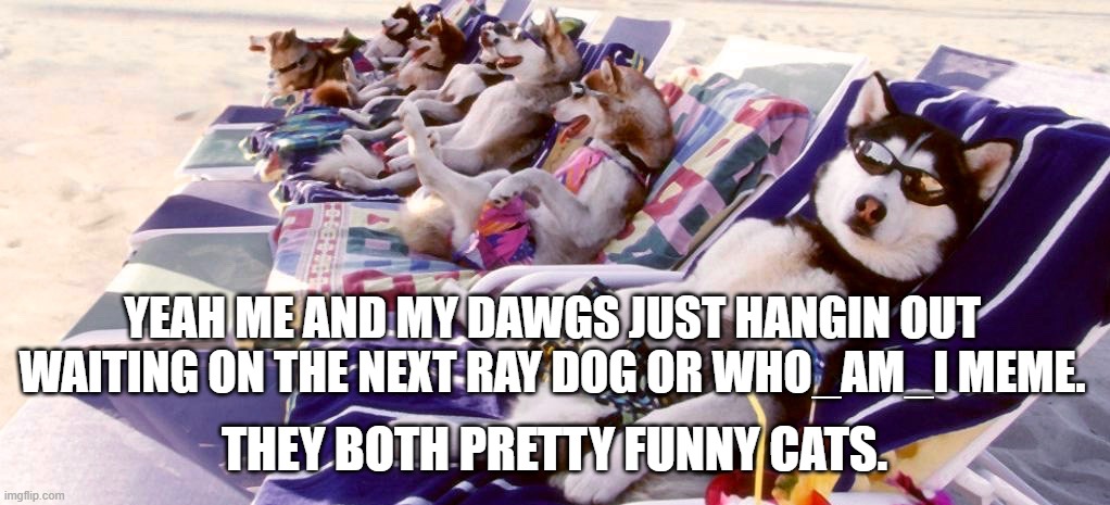 Chillin out waiting to laugh my butt off. | YEAH ME AND MY DAWGS JUST HANGIN OUT WAITING ON THE NEXT RAY DOG OR WHO_AM_I MEME. THEY BOTH PRETTY FUNNY CATS. | image tagged in chill out splarcity | made w/ Imgflip meme maker