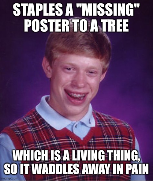 Bad Luck Brian | STAPLES A "MISSING" POSTER TO A TREE; WHICH IS A LIVING THING, SO IT WADDLES AWAY IN PAIN | image tagged in memes,bad luck brian | made w/ Imgflip meme maker