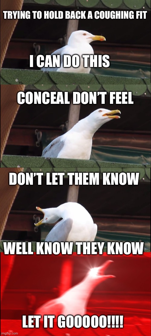 Inhaling Seagull Meme - Imgflip