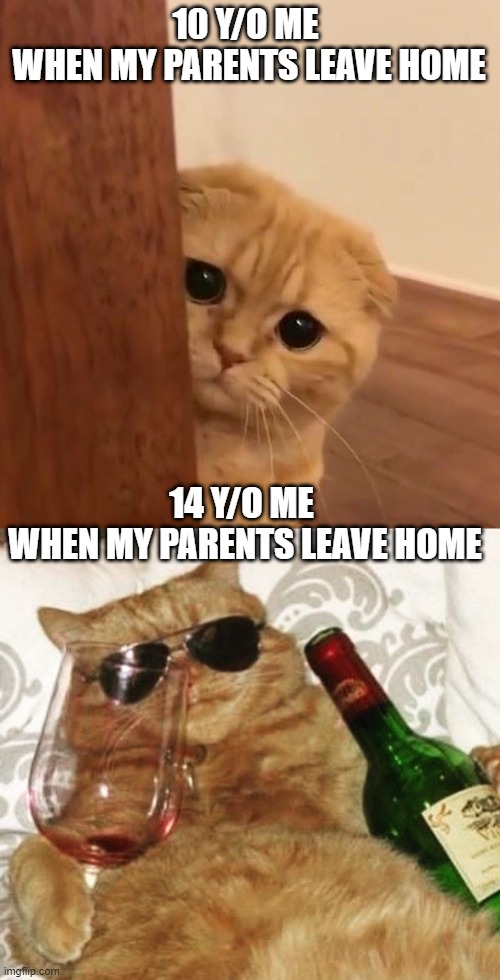 Age gap #Teenage #Mind | 10 Y/O ME 
WHEN MY PARENTS LEAVE HOME; 14 Y/O ME 
WHEN MY PARENTS LEAVE HOME | image tagged in memes,funny,funny memes,front page | made w/ Imgflip meme maker