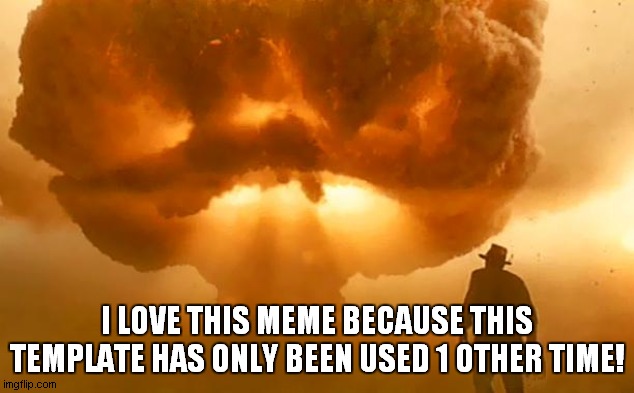 nuke survivor | I LOVE THIS MEME BECAUSE THIS TEMPLATE HAS ONLY BEEN USED 1 OTHER TIME! | image tagged in nuke survivor | made w/ Imgflip meme maker