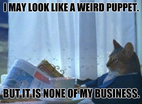 I Should Buy A Boat Cat Meme | I MAY LOOK LIKE A WEIRD PUPPET. BUT IT IS NONE OF MY BUSINESS. | image tagged in memes,copycat,drunk kermit | made w/ Imgflip meme maker