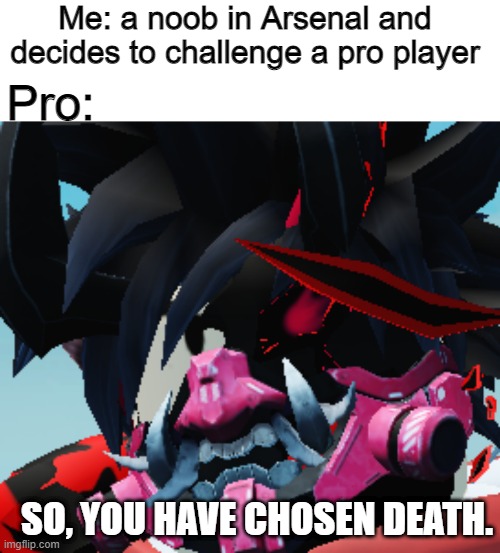 Cailin Evander's Face of Death | Me: a noob in Arsenal and decides to challenge a pro player; Pro:; SO, YOU HAVE CHOSEN DEATH. | image tagged in roblox,so you have chosen death | made w/ Imgflip meme maker
