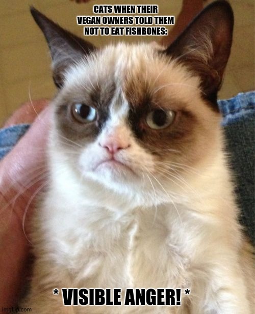 Grumpy Cat | CATS WHEN THEIR VEGAN OWNERS TOLD THEM NOT TO EAT FISHBONES:; * VISIBLE ANGER! * | image tagged in memes,grumpy cat,vegan logic | made w/ Imgflip meme maker