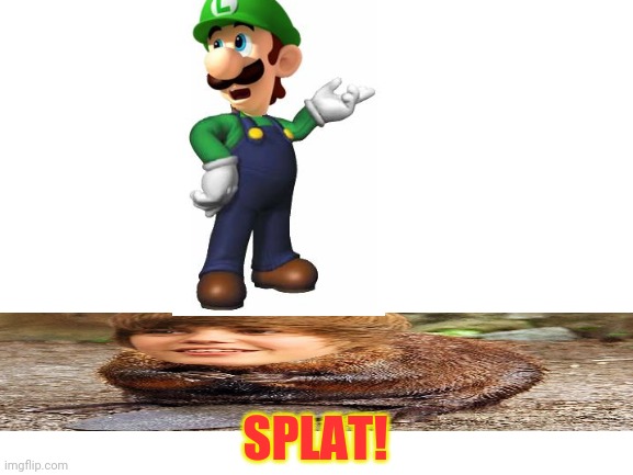 Blank White Template | SPLAT! | image tagged in blank white template | made w/ Imgflip meme maker