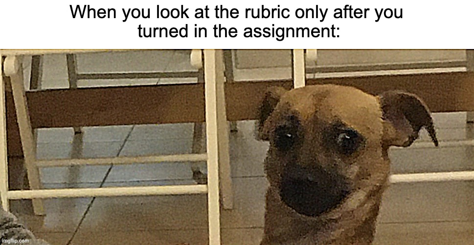 Nervous doggle | When you look at the rubric only after you
 turned in the assignment: | image tagged in nervous doggle | made w/ Imgflip meme maker