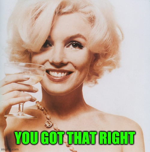Marilyn Monroe | YOU GOT THAT RIGHT | image tagged in marilyn monroe | made w/ Imgflip meme maker