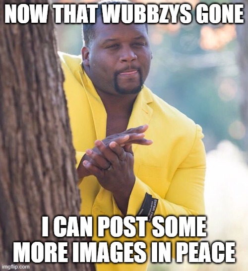 if only some of the other mods were ACTIVE | NOW THAT WUBBZYS GONE; I CAN POST SOME MORE IMAGES IN PEACE | image tagged in black guy hiding behind tree | made w/ Imgflip meme maker