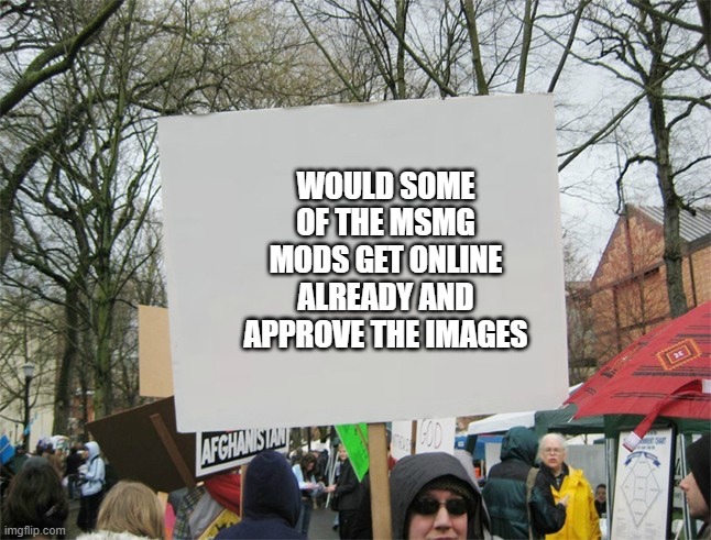 Blank protest sign | WOULD SOME OF THE MSMG MODS GET ONLINE ALREADY AND APPROVE THE IMAGES | image tagged in blank protest sign | made w/ Imgflip meme maker