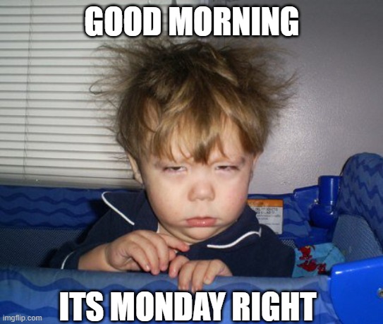 Monday Mornings | GOOD MORNING ITS MONDAY RIGHT | image tagged in monday mornings | made w/ Imgflip meme maker