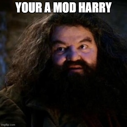 You're a wizard harry | YOUR A MOD HARRY | image tagged in you're a wizard harry | made w/ Imgflip meme maker